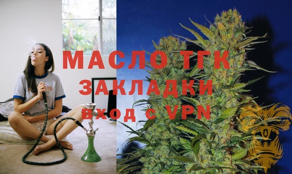 индика Инта