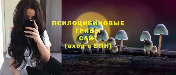 индика Инта