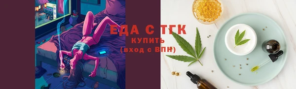 индика Инта