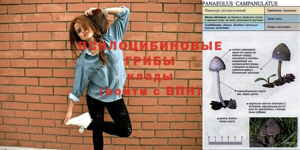 дживик Инсар