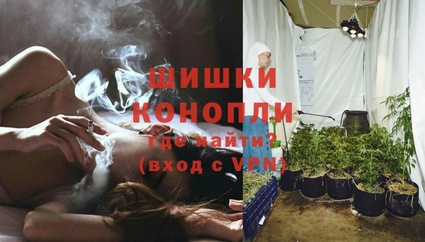 гидропоника Каменногорск