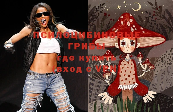 дживик Инсар
