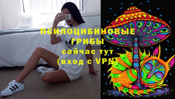 гидропоника Каменногорск