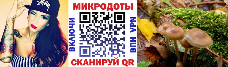 Галлюциногенные грибы мухоморы  Купить  Любим 